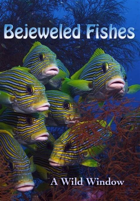 Wild Window: Bejeweled Fishes streaming online.